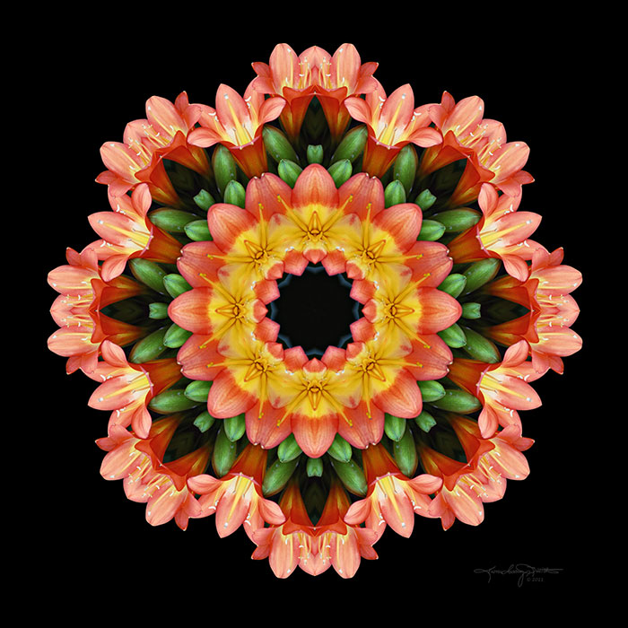 Danza de la Vida - Life's Dance Flower Mandala in red, orange, green & gold