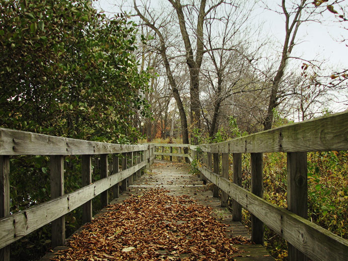 A wooden bridge covered with Autumn leaves.
