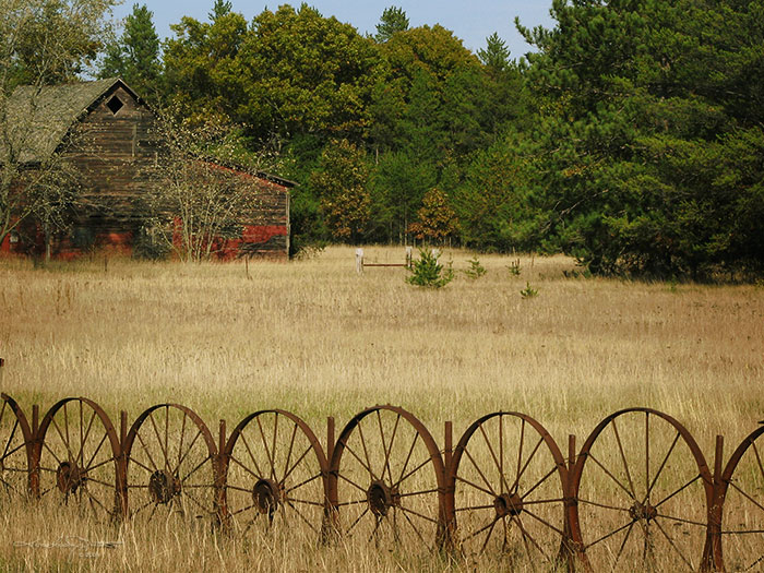 A wagon wheel fance with an old red barn across the pasture.