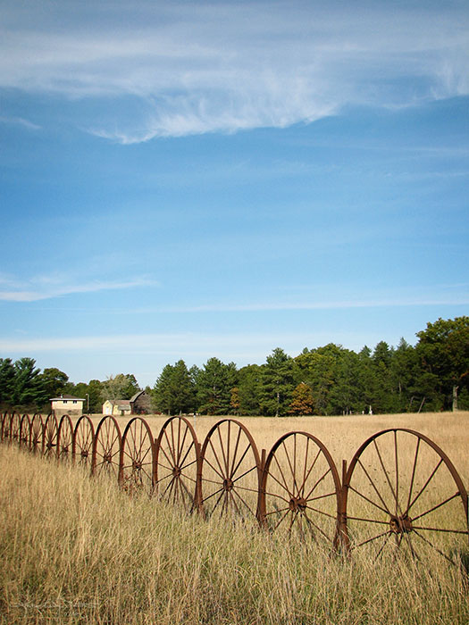 A long fence made of wagon wheels borders a pasture.
