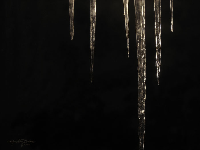 Icicles shine and sparkle against the night sky.