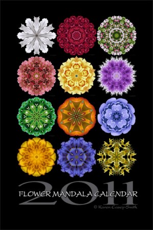 Flower Mandala Calendar 2011 - cover