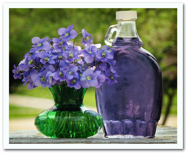 homemade Sweet Violet Syrup