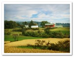 Storybook Farm, a classic farm, red barn, and golden cornfields ready for harvest.