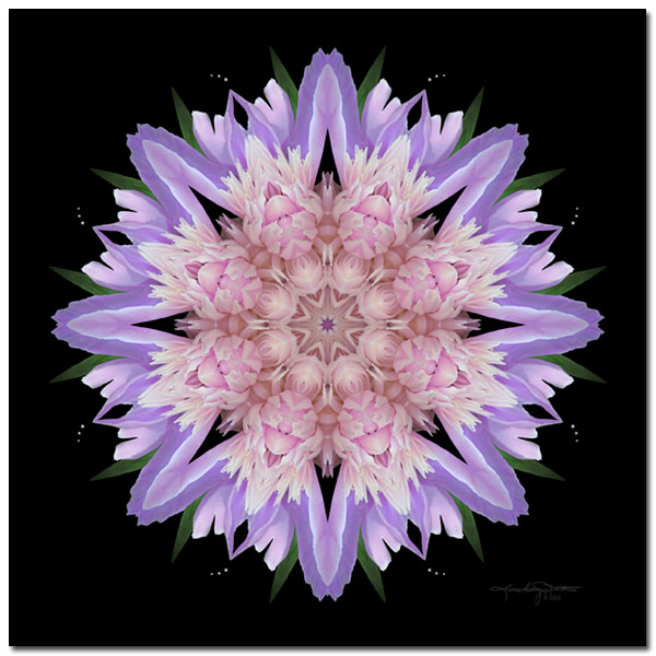 Gentle Strength - Peony Flower Mandala Art