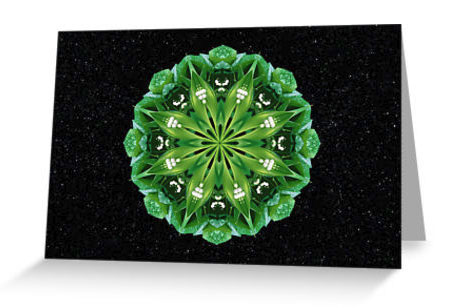 True Flower Mandala Note Card 