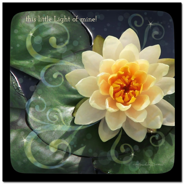 A sunshine yellow water lily with the words "this little Light of mine" inspires us to let it shine!