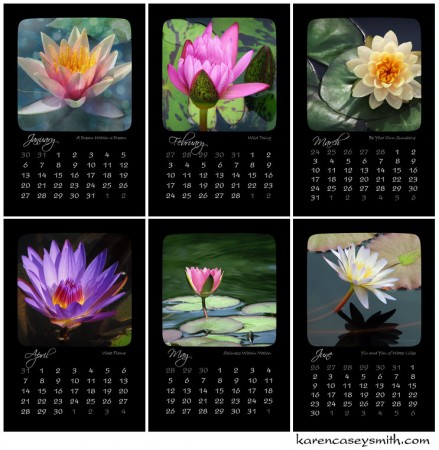 First six months of the 2013 Water Lily Calendar 