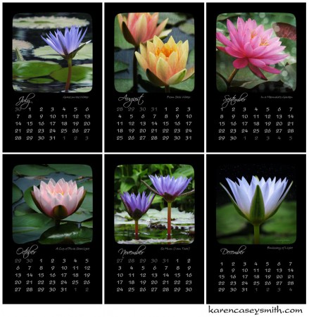 Second six months of the 2013 Water Lily Calendar