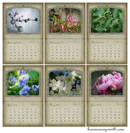 2014 The Year in Flowers Calendar 1st six months