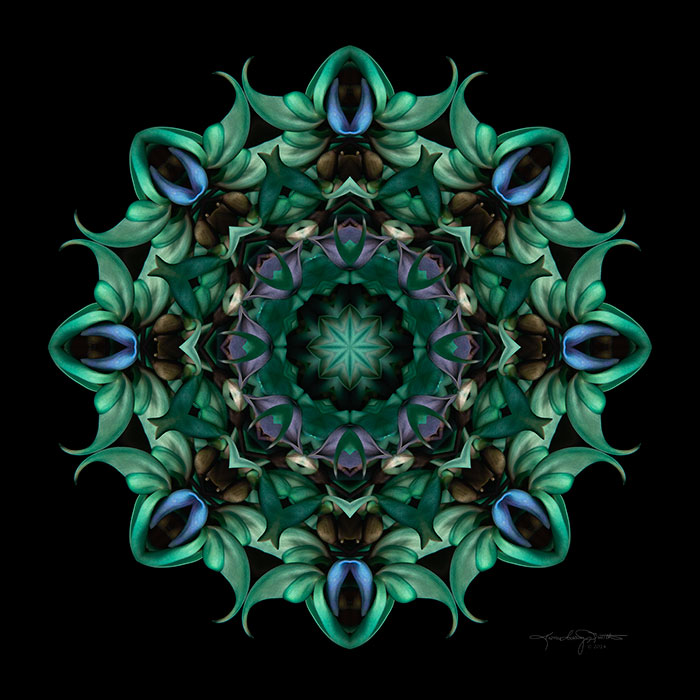 Jade Vine Flower Mandala - Sacred Aspects -Divine Feminine