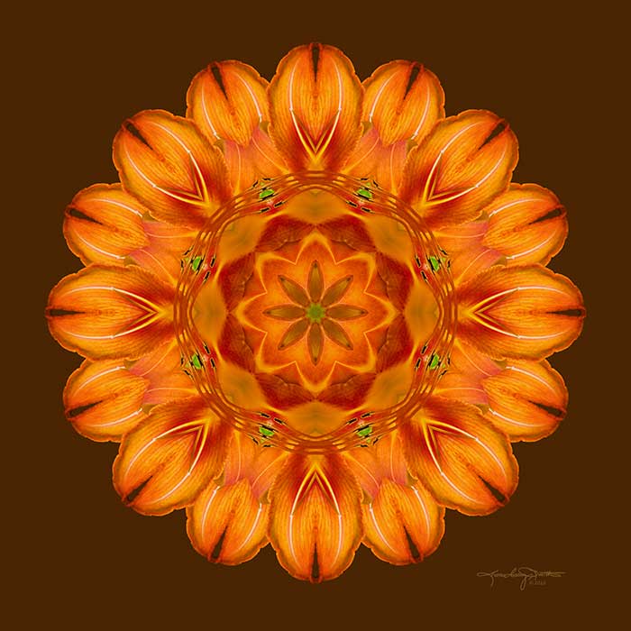 Selu's Song - Orange Day Lily Flower Mandala